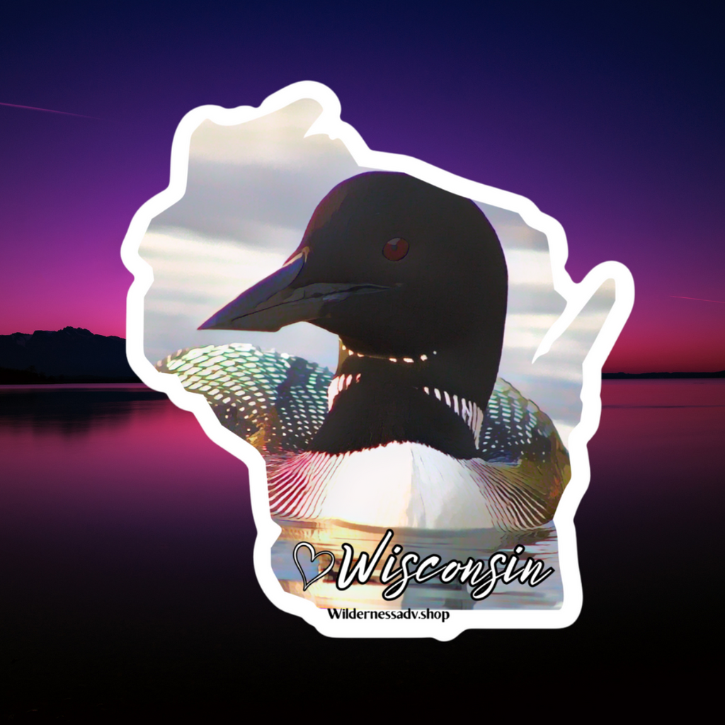 Wisconsin Loon Sticker