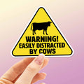 Easily Distracted by Cows Sticker - Funny Farm Decal